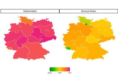 Waldschäden Burnout-Risiko Waldschäden Burnout-Risiko