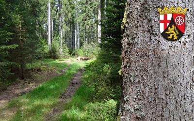 Forst Rheinland-Palz Forst Rheinland-Palz