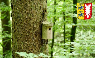 Forst Schleswig-Holstein Forst Schleswig-Holstein