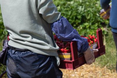 Das hier ist nicht Europa