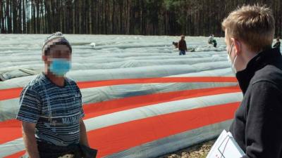 Berater und Erntehelfer stehen vor einem Spargelfeld