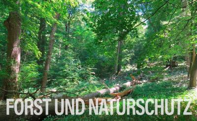 Branche Forst Branche Forst