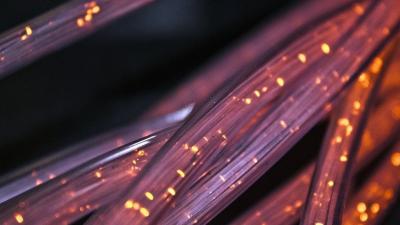 Glasfaserkabel im Close-up Glasfaserkabel im Close-up