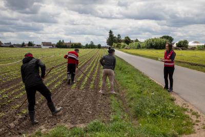 Erntehelfer*innen auf einem Feld bei der Arbeit Erntehelfer*innen auf einem Feld bei der Arbeit