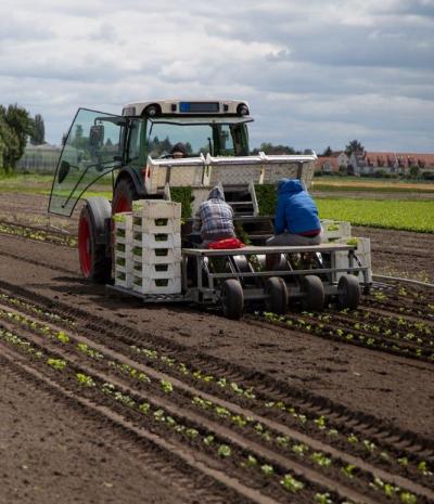 Das Titelfoto der Studie Das Titelfoto der Studie