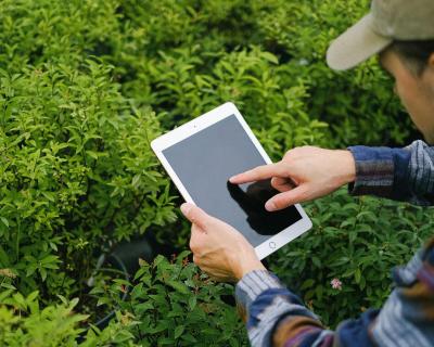 Ein Mann beugt sich mit seinem iPad in der Hand über Pflanzen