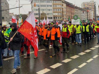 Warnstreik-Demo in Mainz