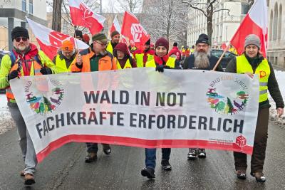 Warnstreik-Demo in Hannover Warnstreik-Demo in Hannover