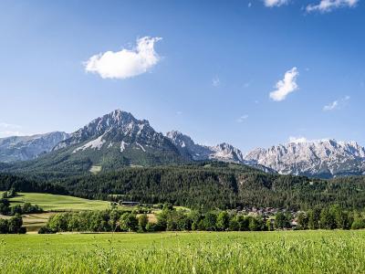 Blick auf grüne Wiesen im Chiemgau mit Bergen am Horizont