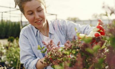 Junge Frau beim Arbeiten in einer Gärtnerei Junge Frau beim Arbeiten in einer Gärtnerei