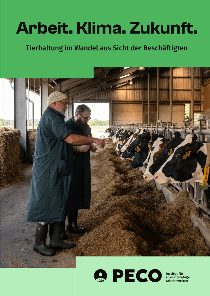 Titelbild der PECO-Studie