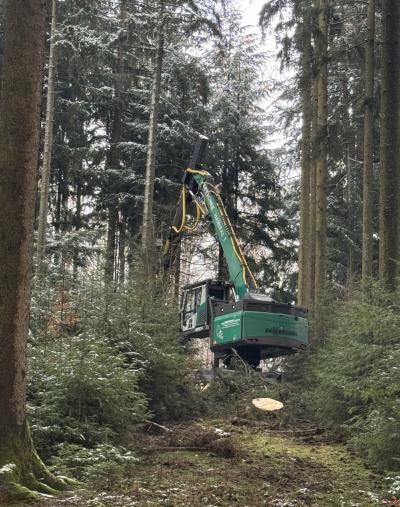 Waldbewirtschaftung