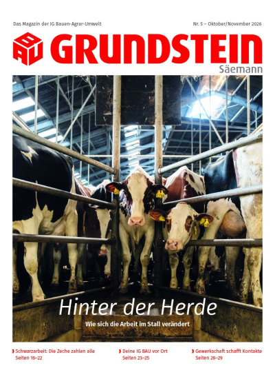 Grundstein Titel Ausgabe 05 2026