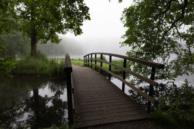 Steg im Nebel